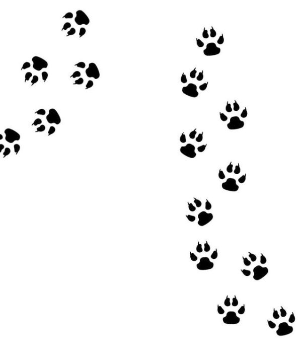 Veggklistremerker paw dyrespor svart, 15 stk.
