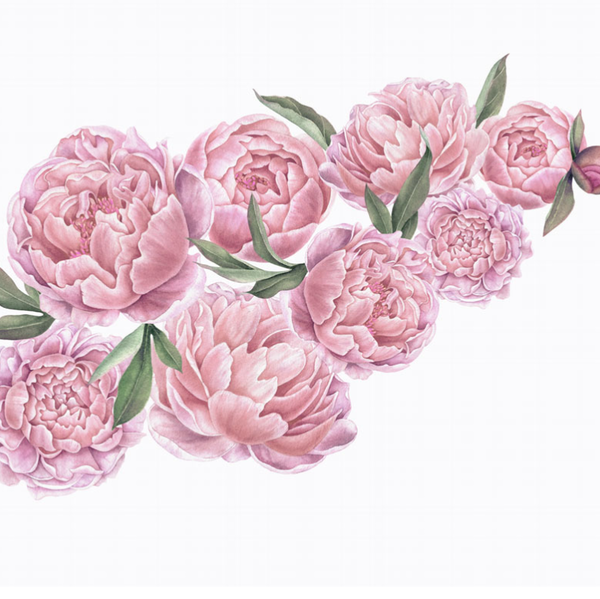 Rosa peoner veggklistremerker, veggdekorasjon L