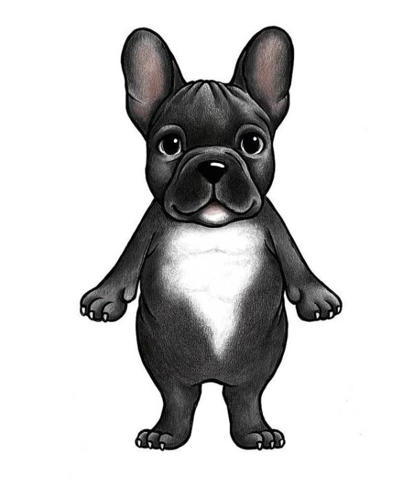 Stickstay franske bulldoggen Boss