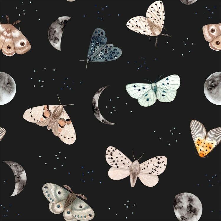 Dekorillo, tapet Magic butterfly black