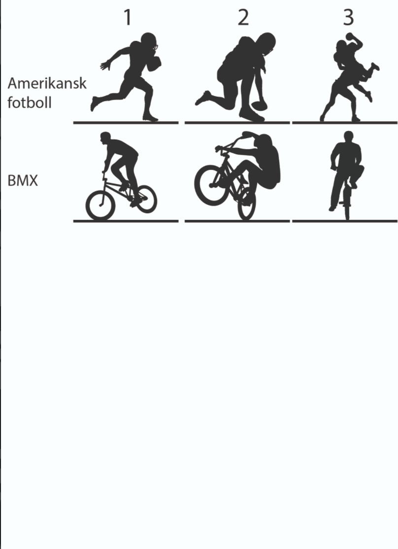 Personlig sportsskilt - Bilde 9