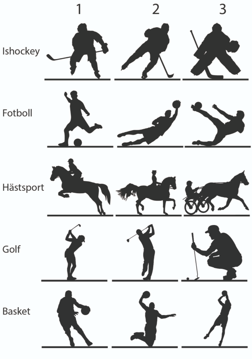 Personlig sportsskilt - Bilde 4
