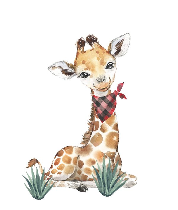 Veggklistremerke, Giraff