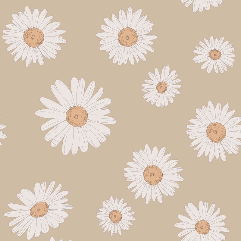 Dekornik, tapet Tuscan Daisies Cappuccino