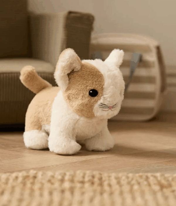 Kid`s Concept, Katt med veske